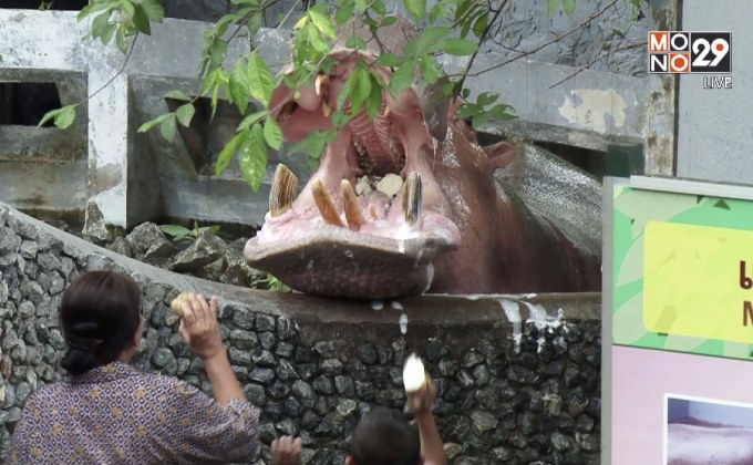 ตั้งเป้าสวนสัตว์ดุสิตแห่งใหม่ทันสมัย