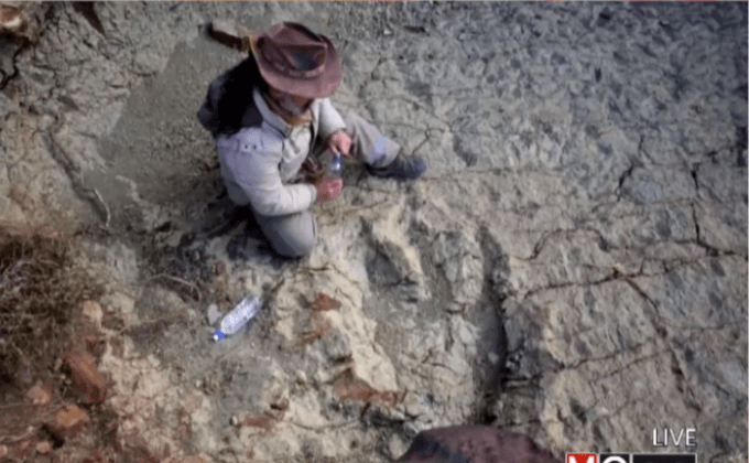 พบรอยเท้าไดโนเสาร์ขนาดยักษ์ในโบลิเวีย