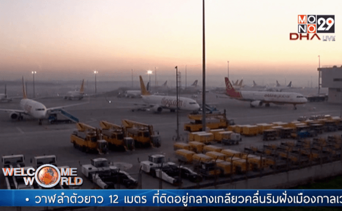 เหตุวางระเบิดสนามบินในตุรกี ดับ 1 ราย