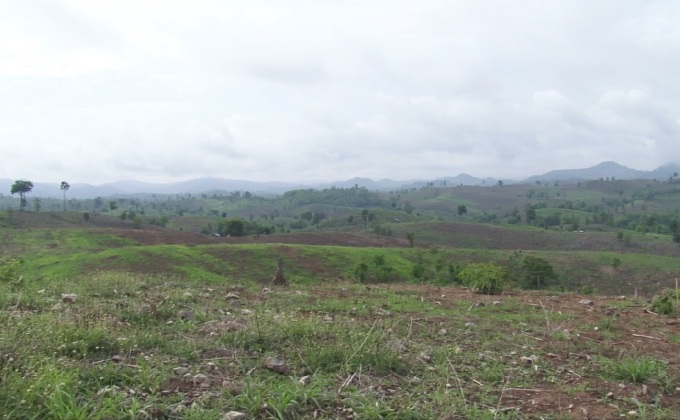 กรมป่าไม้เดินหน้าปลูกป่าต้นน้ำแม่สอด 2,541 ไร่