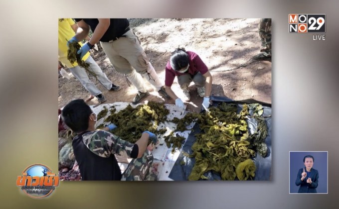 สลด! พบขยะ 7 กก.ในท้องกวางป่า