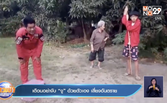 วัยรุ่น 18 เปิดอินเทอร์เน็ตหาวิธีจับ “งูเห่า” เข้าบ้าน