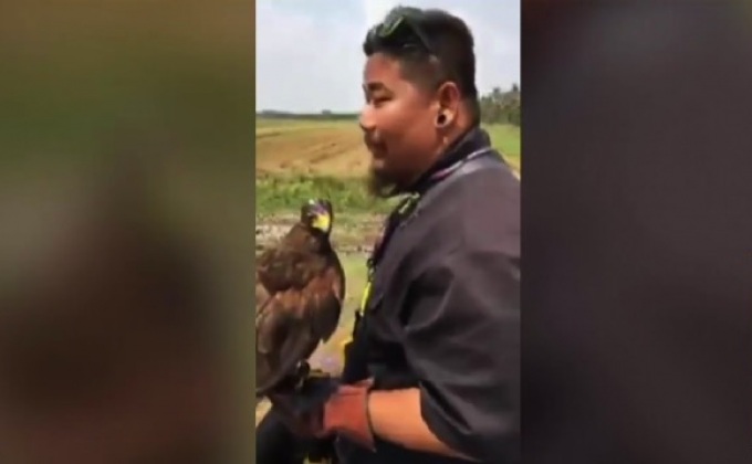 เร่งล่าแก๊งพนันนกเหยี่ยว