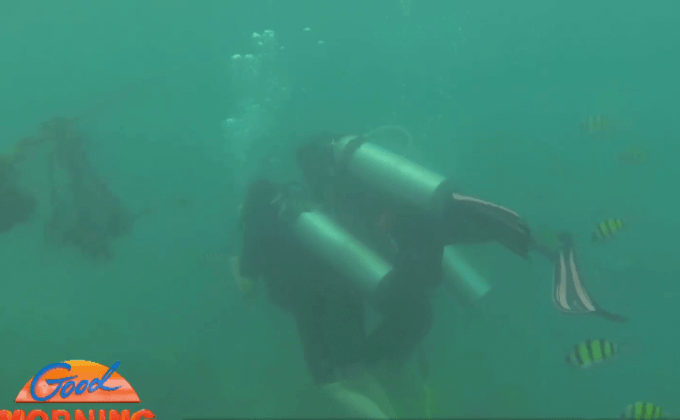 ชงยกเลิกดำน้ำ Try dive ชี้ทำลายปะการัง