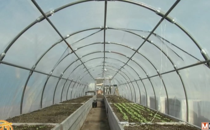 “เกษตรกรเมือง” อาชีพที่เป็นจริง ในสวีเดน