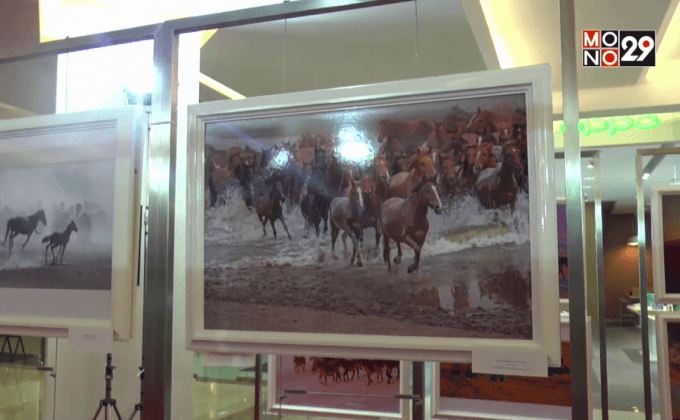 นิทรรศการภาพถ่าย “แสงแห่งทุ่งหญ้ามองโกเลียใน”