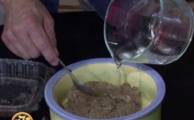 เทรนด์ “อาหารสุขภาพเพื่อสัตว์เลี้ยง” เพิ่มสูงขึ้น