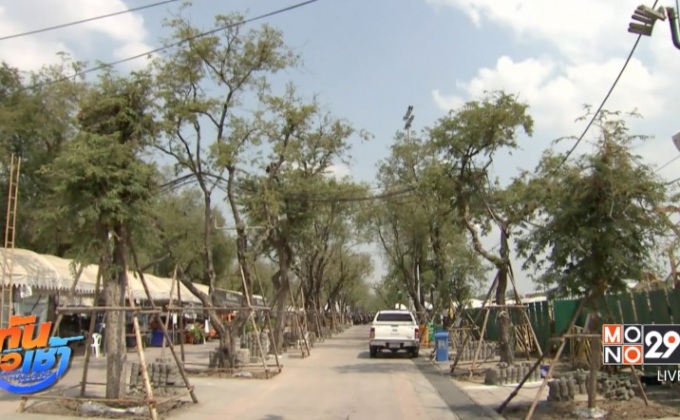 ย้ายต้นมะขามสนามหลวงรอบสุดท้าย