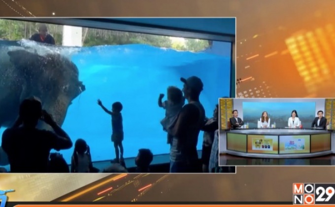 โชว์ช้างเล่นน้ำ 3 มิติ ฉลองวันแรงงาน