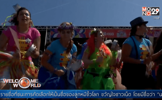 แฟนเดอะบีทเทิลส์ร่วมฉลองคาร์นิวัลในบราซิล