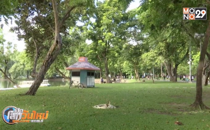 เตรียมปรับปรุงโครงสร้างสวนลุมพินีทั้งระบบ