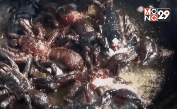 ลิ้มรสเมนูแมลงที่กัมพูชา