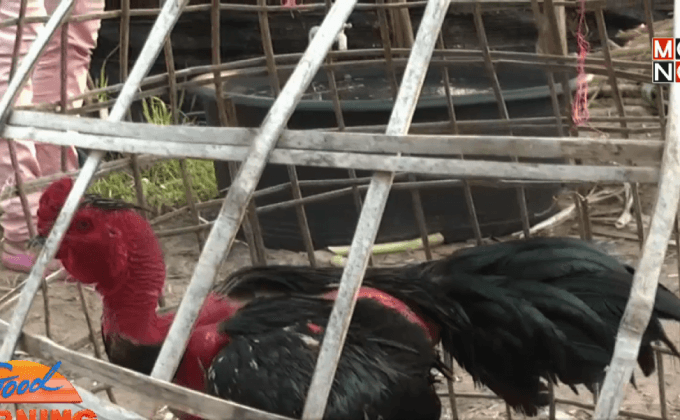 โมโหเพื่อนบ้านทำร้ายไก่ชน ใช้มีดแทงคู่กรณีดับ