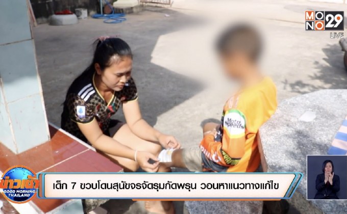 เด็ก 7 ขวบโดนสุนัขจรจัดรุมกัดพรุน วอนหาแนวทางแก้ไข
