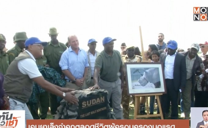 เคนยาเล็งจำคุกตลอดชีวิตผู้ครอบครองนอแรด