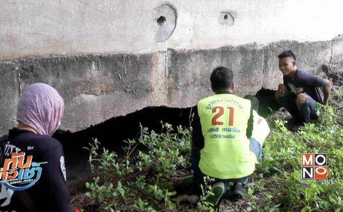 ชาวบ้านผวา พบจระเข้ยาวกว่า 3 เมตร กลางบ่อน้ำ