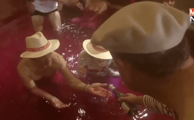 อาบไวน์ประจำปีในญี่ปุ่น