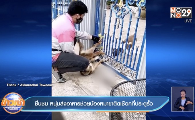 ชื่นชม หนุ่มส่งอาหารช่วยน้องหมาขาติดเชือกที่ประตูรั้ว