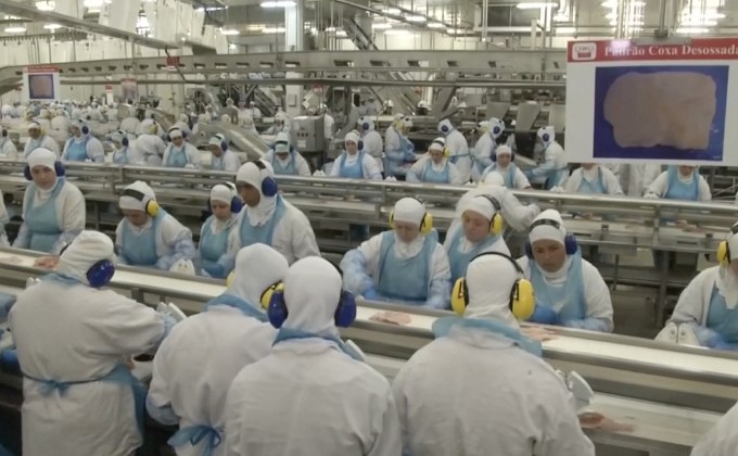 EU มีมติห้ามนำเข้าเนื้อสัตว์จากบราซิล