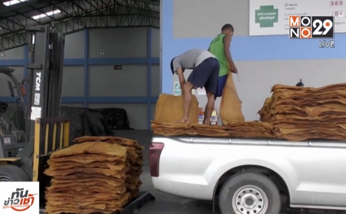 เรียกสอบทุจริตชุมนุมสหกรณ์ยางพารา จ.ตรัง