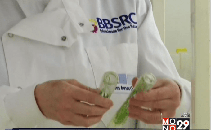 ความกังวลเรื่องตัดต่อพันธุกรรม