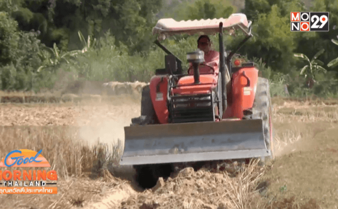 รณรงค์ “ไถกลบตอซังข้าว” เพื่อลดภาวะโลกร้อน