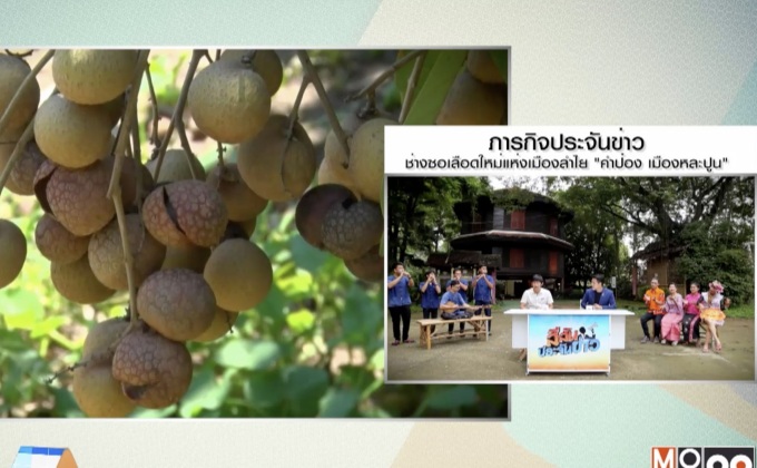 ชาวสวนหาทางออก หลังราคาลำไยตกต่ำในรอบหลายปี