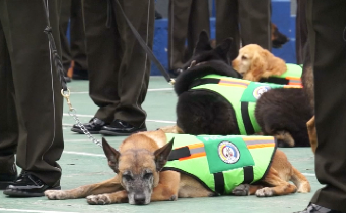เอกวาดอร์จัดงานเกษียณอายุสุนัขตำรวจ