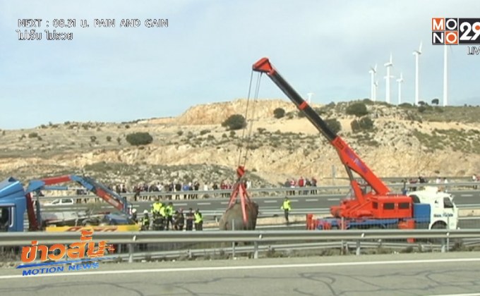 รถบรรทุกช้างตกถนนในสเปน