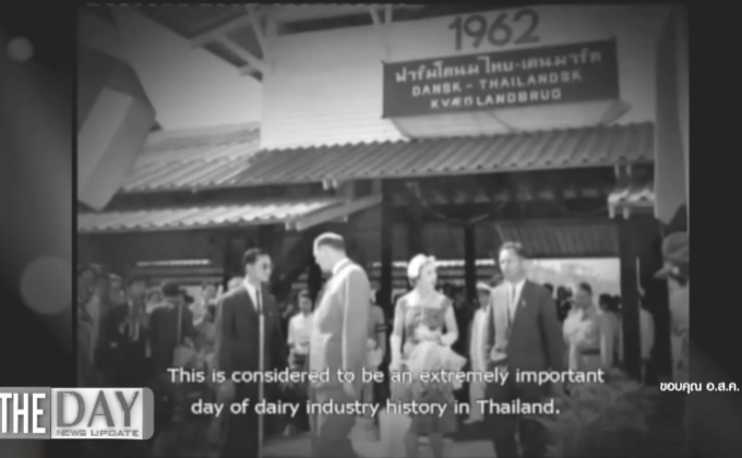 “เลี้ยงโคนม” อาชีพพระราชทาน