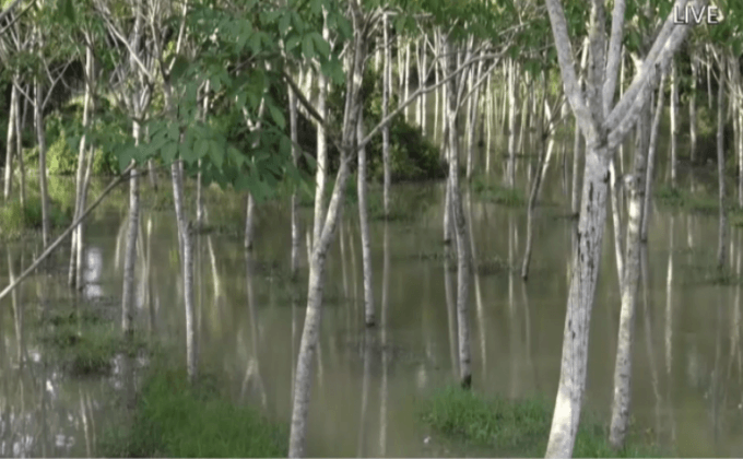 น้ำท่วมนราธิวาสเริ่มลดลง