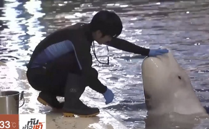 เขตอนุรักษ์วาฬเบลูกาแห่งแรกของโลก