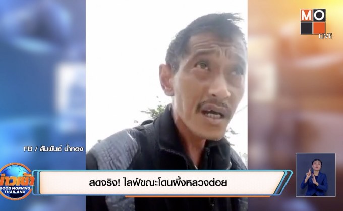 สดจริง! ไลฟ์ขณะโดนผึ้งหลวงต่อย