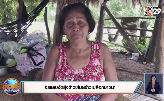 นครราชสีมา-โจรขโมยข้าวชาวบ้าน