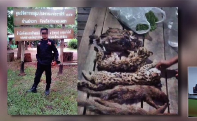 อธิบดีสั่งให้ออก กรณี เจ้าหน้าที่ป่าไม้โพสต์อวดภาพล่าสัตว์ป่า
