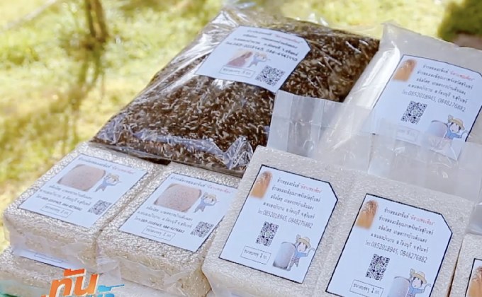 “ฟาร์มจริงใจ” เว็บไซต์ให้บริการซื้อข้าวตรงจากชาวนา