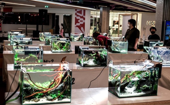 “Thailand Aquascaping Art Fair 2024” งานไม้น้ำ จากศิลปินนักจัดตู้ไม้น้ำชาวไทยฝีมือระดับโลก