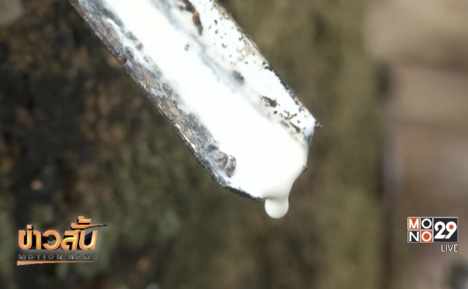 สศก.ระบุ ปี 62 เศรษฐกิจเกษตรขยายตัวร้อยละ 2.5-3.5