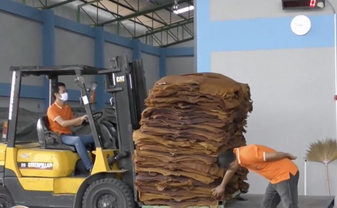 ทุจริตสหกรณ์ จ.ตรัง ซ้ำเติมวิกฤตราคายางตกต่ำ