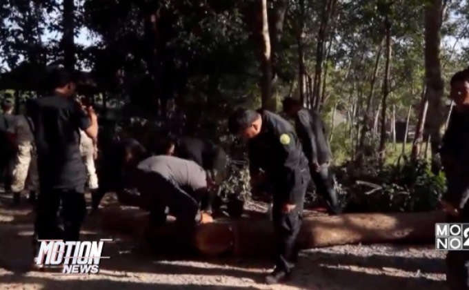 จับยาย 72 ปี จ้างตัดไม้พะยูง