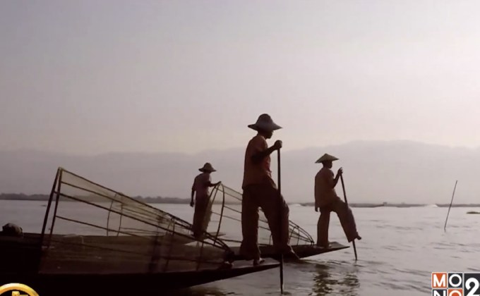 ​UN เผยรายงานสัตว์-พืชมหาศาลเสี่ยงสูญพันธุ์