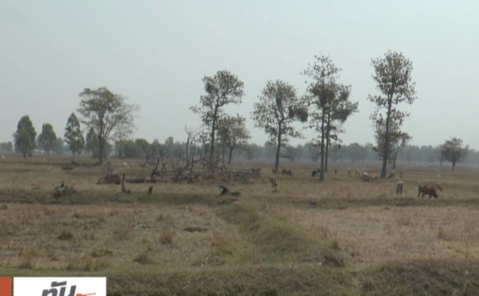 ภาคอีสานเผชิญภัยแล้ง