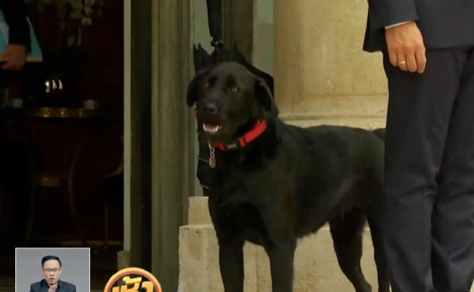 ปธน.ฝรั่งเศสเปิดตัว “สุนัขหมายเลข 1”