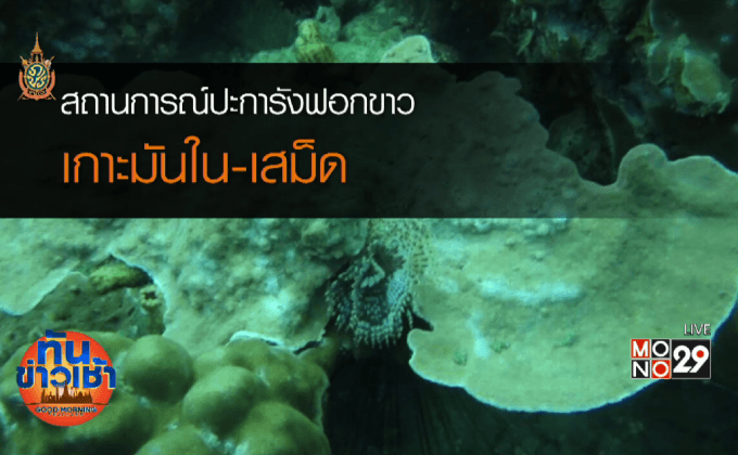 สถานการณ์ปะการังฟอกขาวเกาะมันใน-เสม็ด