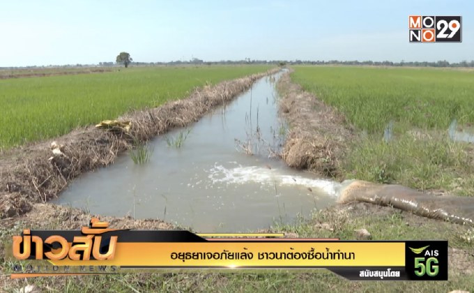 อยุธยาเจอภัยแล้ง ชาวนาต้องซื้อน้ำทำนา