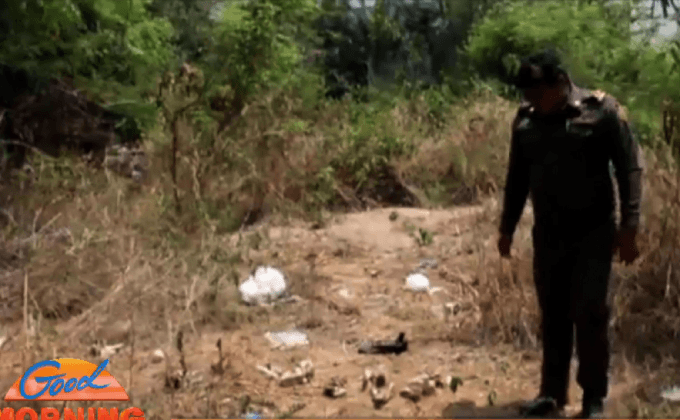 พบสาวป่วยทางจิต ถลกหนังสุนัขตายเกลื่อนนับสิบตัว