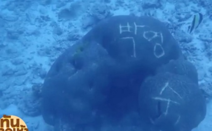 พบชื่อเกาหลี สลักบนปะการัง ใต้หมู่เกาะสิมิลัน