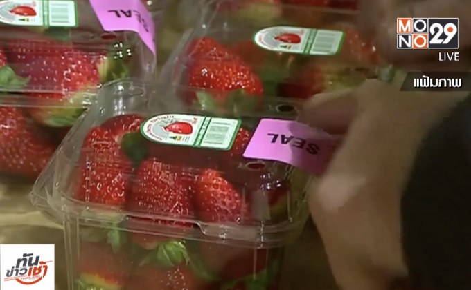 ซูเปอร์มาร์เก็ตนิวซีแลนด์หยุดขายสตรอว์เบอร์รี่ออสซี่