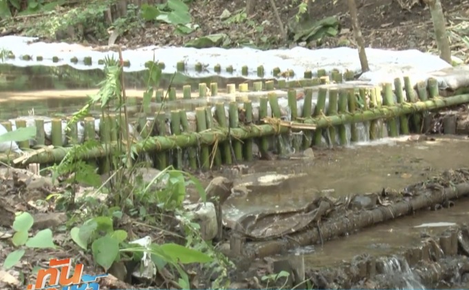 ป่าไม้เร่งผุดป่าชุมชนและฝายมีชีวิต