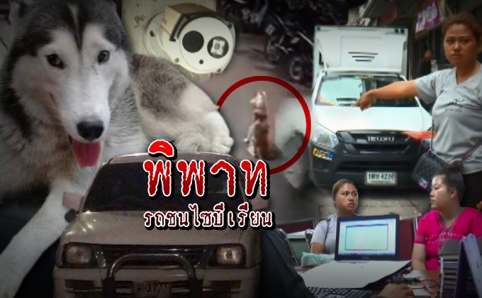 พิพาทรถชนไซบีเรียน